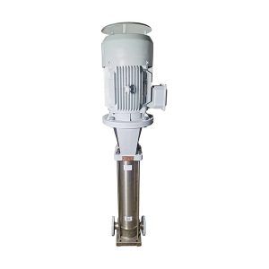 مضخة طرد مركزي عمودية متعددة المراحل من الفولاذ المقاوم للصدأ