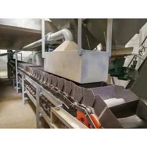 ناقل المئزر